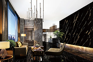 Dekorativt marmormönster PVC/husdjursfilm